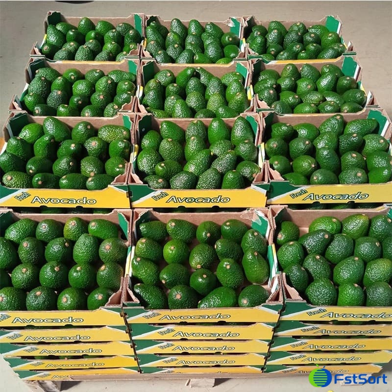 images/1685088607389avocado sorting grading machine.jpg